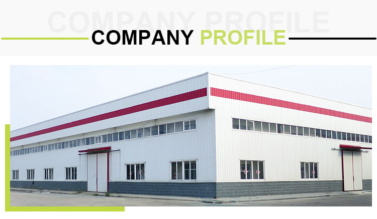 Company Introduction