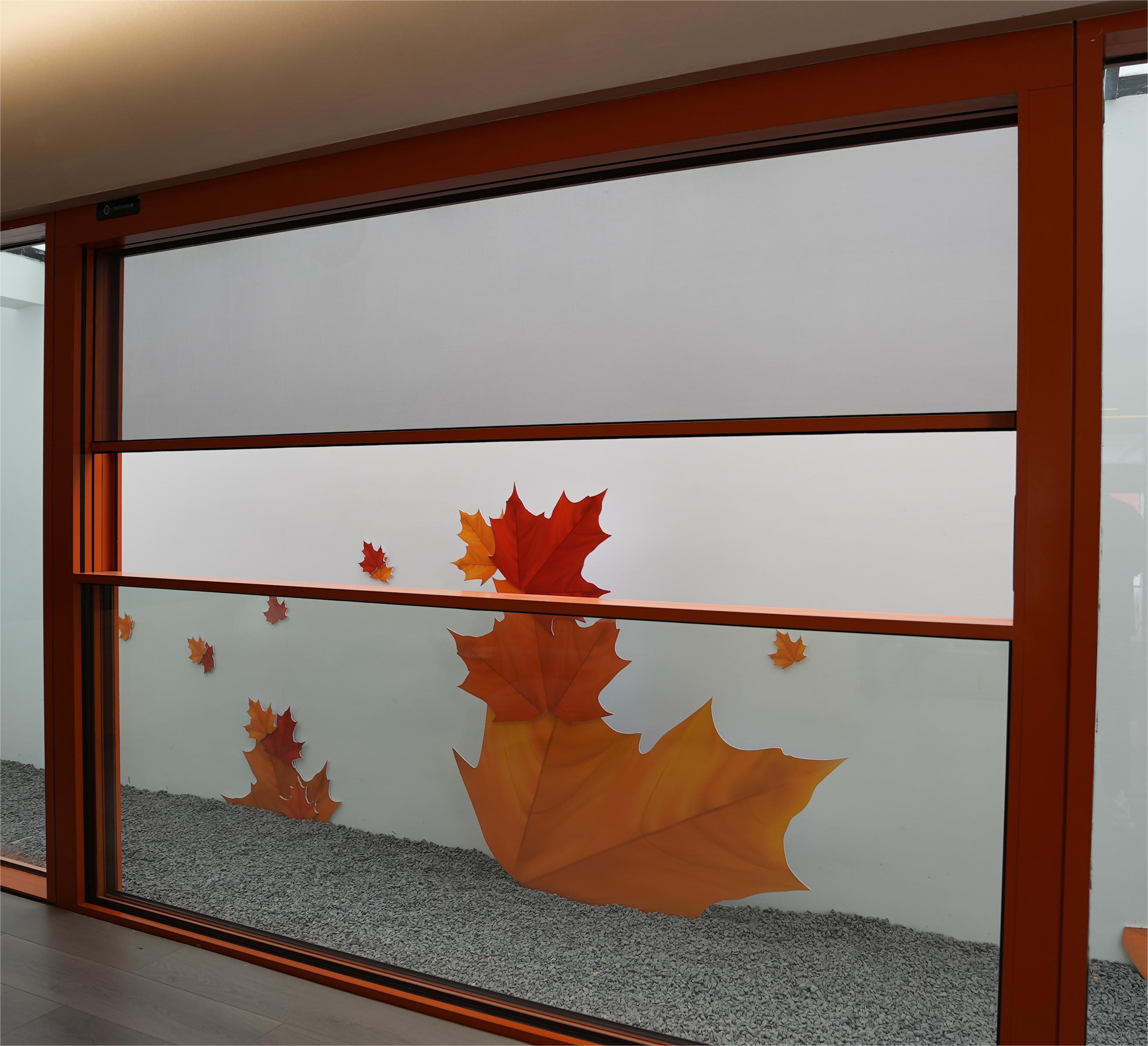 Window Profile Display