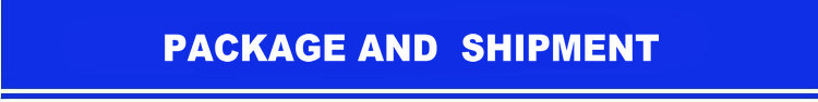 Section Header