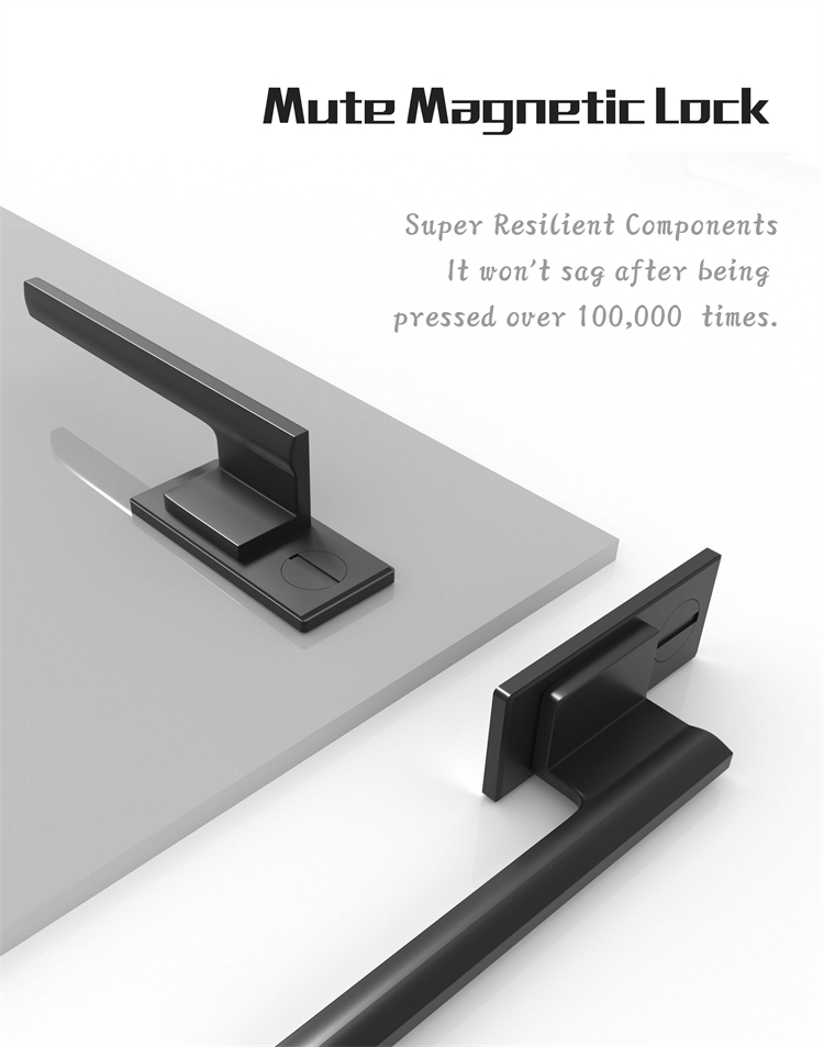 Product Details 6
