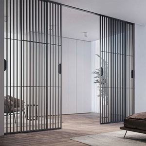 Tempered Glass Slim Interior Partition Narrow Slide Doors