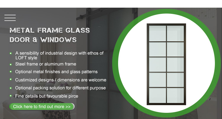 Metal Frame Glass Door