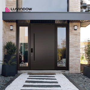Modern Black Aluminum Front Entry Pivoting Doors