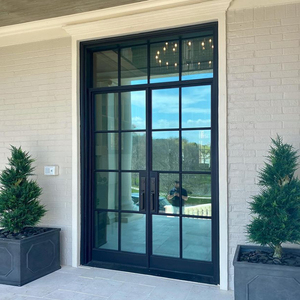 European Standard Iron Doors Crittall Style Entrance French Doors