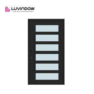 Modern Thermal Break Aluminum Glass Exterior Pivot Door