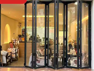 Narrow Glass Sliding Folding Door Partition