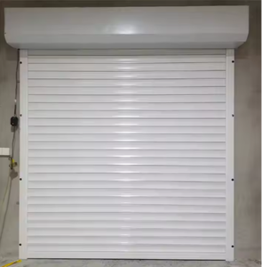Automatic Anti-Theft Aluminum Rolling Shutter Doors