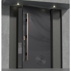 Residential Armored Exterior Security Metal Entry Door