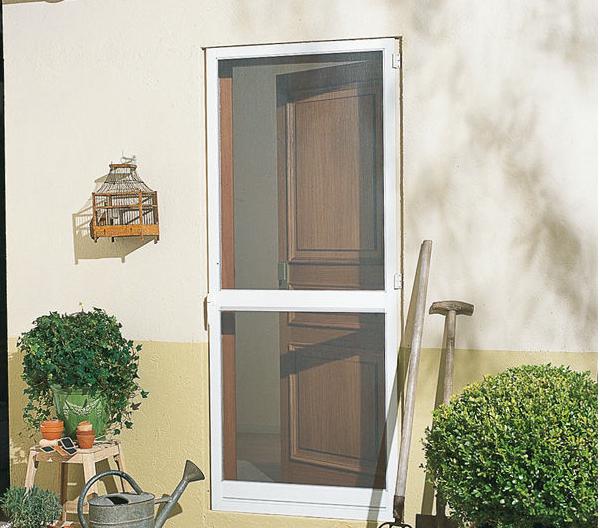 Recommended Model 4