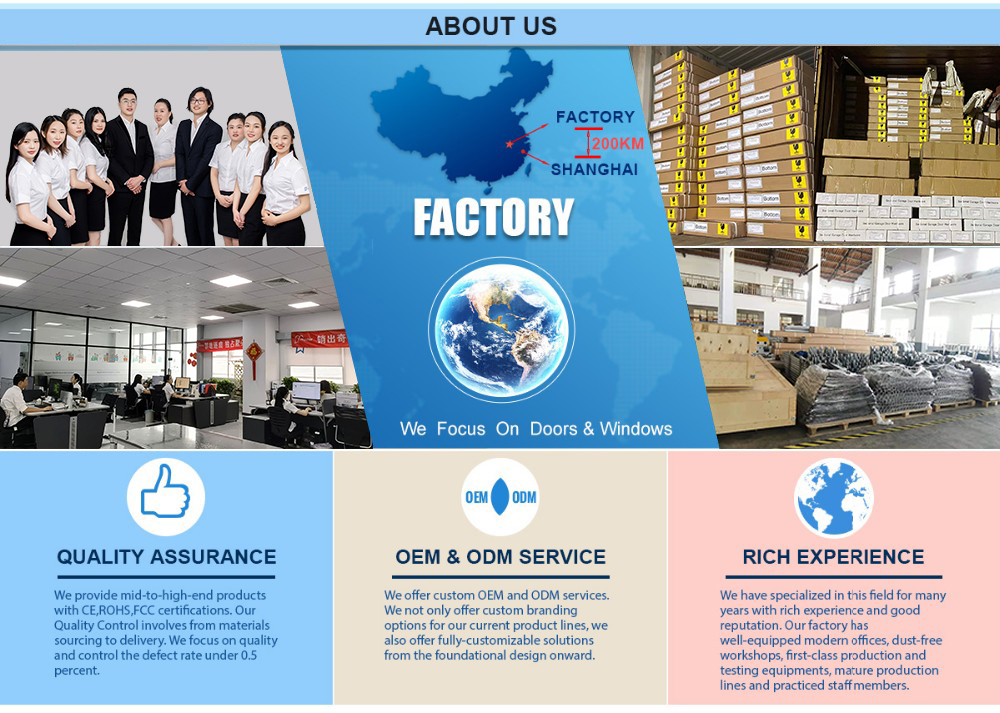 Company Team
