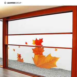 Smart Electric Vertical Sliding Window