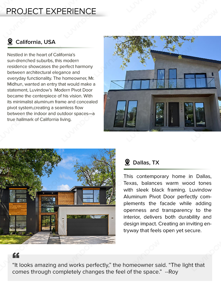 Modern Pivot Door Application 5