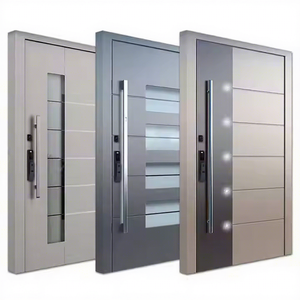 Modern Stainless Steel Pivot Entry Doors
