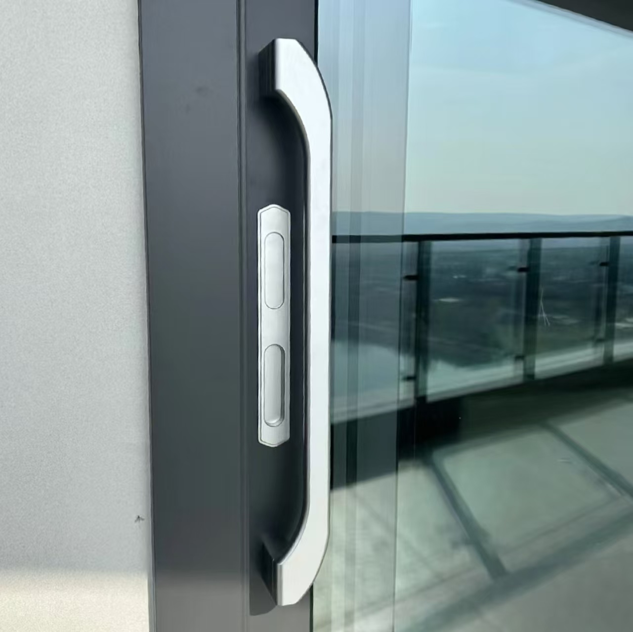 Australian Waterproof Kitchen Sliding Door Double Glazed Glass Window External Patio Door Exterior Soundproof Balcony Aluminum