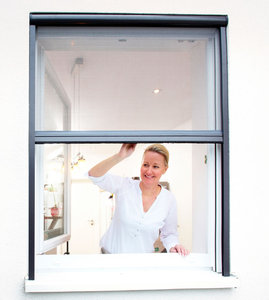 Custom Retractable Aluminum Frame Mosquito Screen Window Door