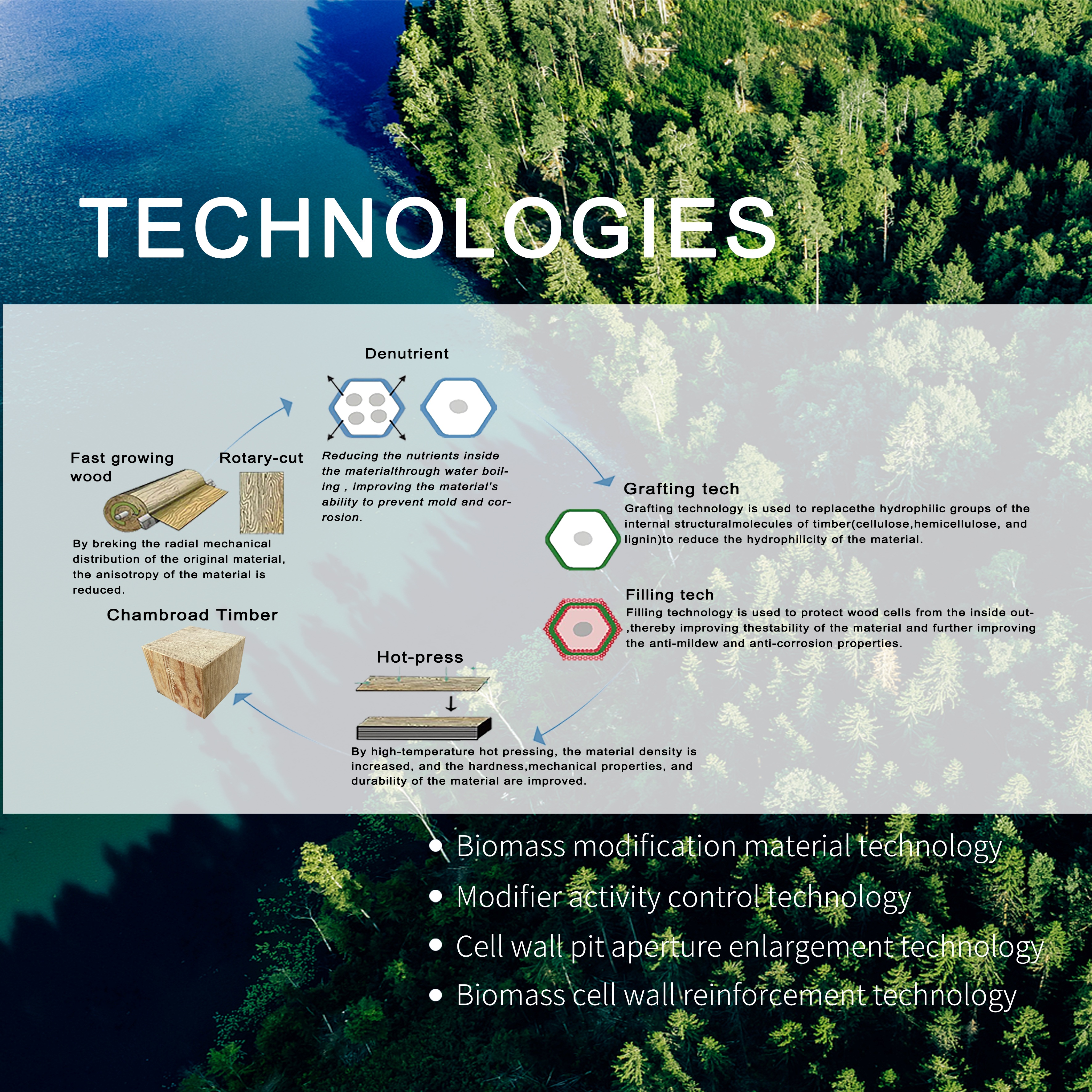 What is chambroad timber