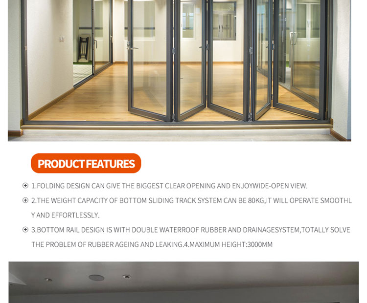Folding Door Detail 5