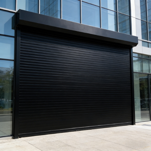 Transparent Polycarbonate Electric Roller Shutter Door