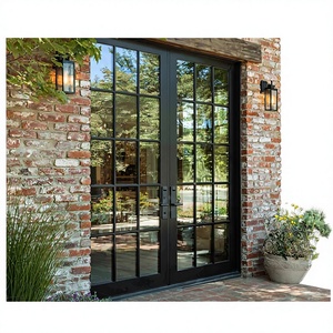 French exterior double glass aluminum swing door