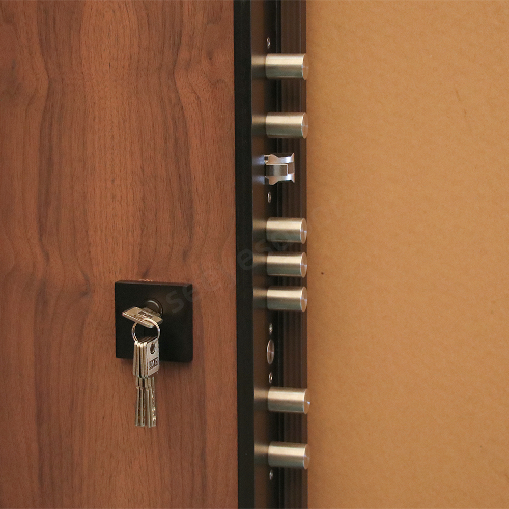 Walnut Wood Door