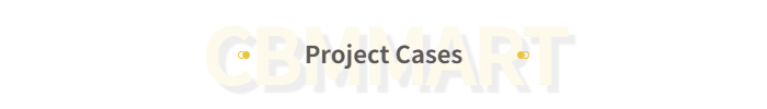 Project Cases Header